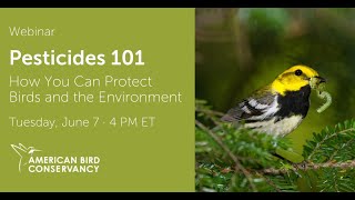 Pesticides 101: How You Can Protect Birds and the Environment | ABC Webinar