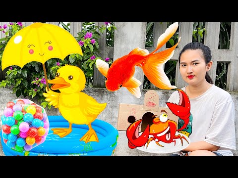 Changcady trải nghiệm nuôi thú cưng, ra đồng bắt con cua, con cá và làm nhà cho vịt con - Part 431