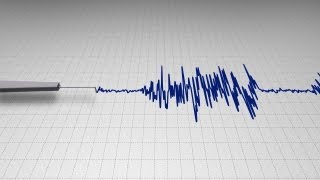 Polygraph Lie Detector Test Chart - 2 Styles screenshot 2