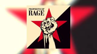 Prophets of Rage - Radical Eyes (Audio)