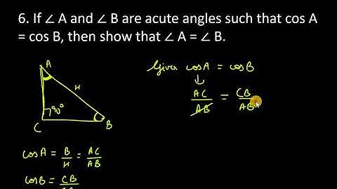 6. If ∠ A and ∠ B are acute angles such that cos A = cos B, then show that ∠ A = ∠ B.