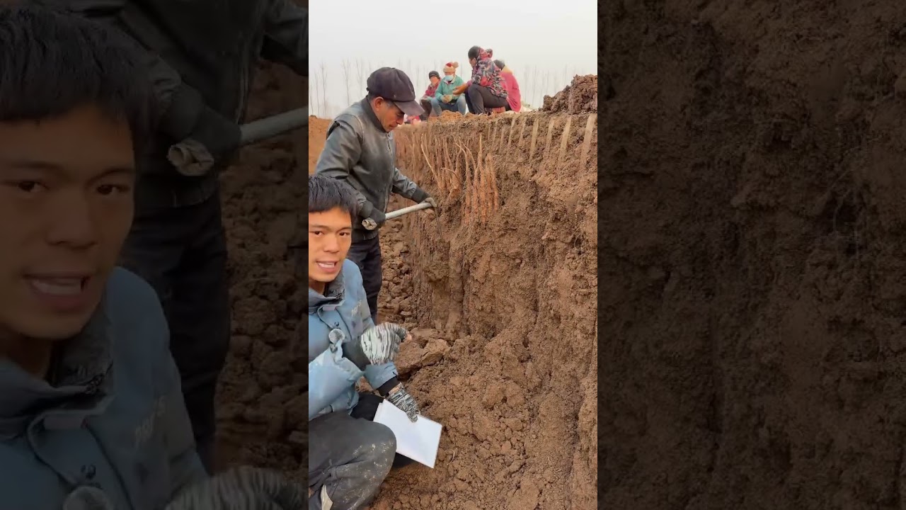 If one day the water flows back to the sea