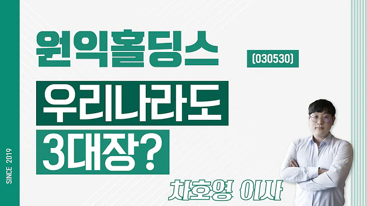원익홀딩스 (030530) - 우리나라도 3대장?