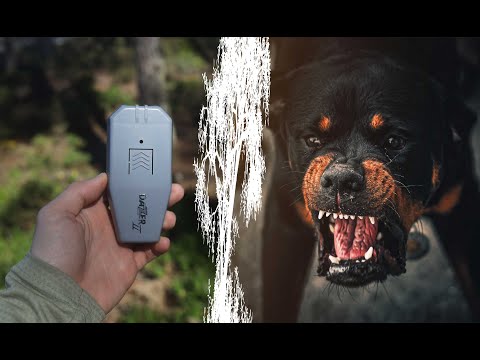 Wideo: Czy ultradźwiękowe odstraszacze psów działają?