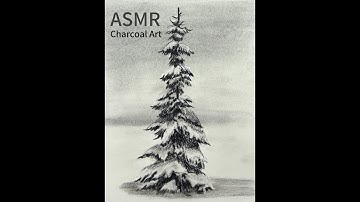 ASMR | How to Draw a Winter Tree with Snow using Pencils | Easy Step by Step Tutorial for Beginners