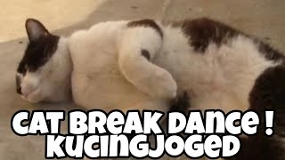 cat break dance ! kucing joged