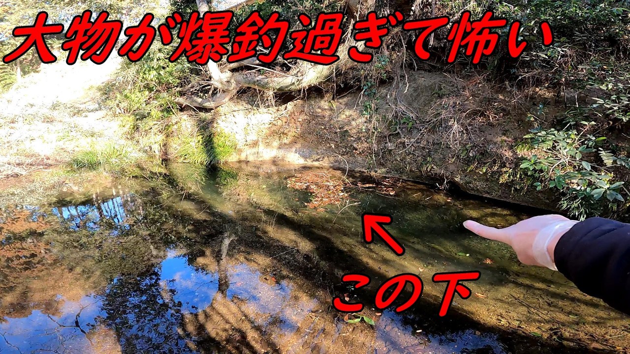 大物ばかり釣れて怖い！！