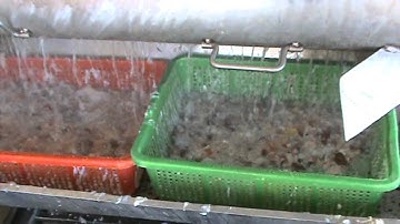 GIẢI PHÁP TÁCH RÁC - THU HỒI THỊT VÀ MỠ CÁ TRA.MPG