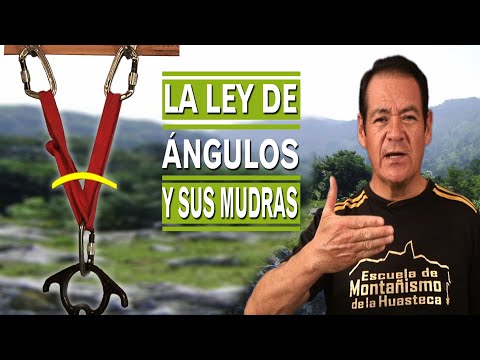 LA LEY DE