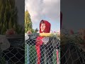 لما مراتك تتعاكس وتيجي تطلع الوحش اللي جواك
