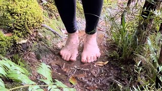 Barefoot Tracks of Whangarei: Whau Valley Dam