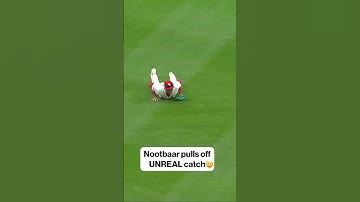 Lars Nootbaar pulls off UNREAL diving catch 😮‍💨🔥 #LarsNootbaar #StLouisCardinals #MLB