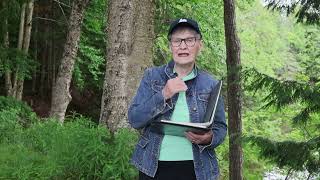 How RRSPs and RRIFs Can Support Conservation | Lydia LaPointe