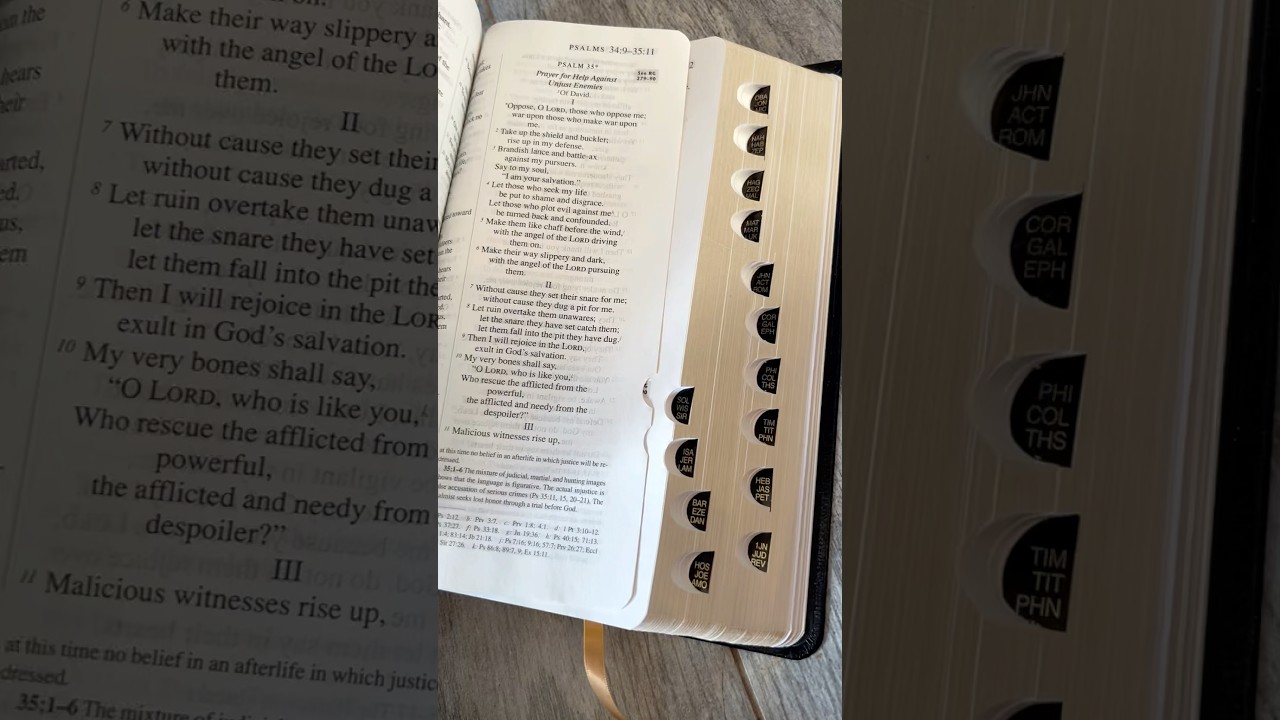 Holy Bible The Catholic Study Bible Third Edition Nabre 