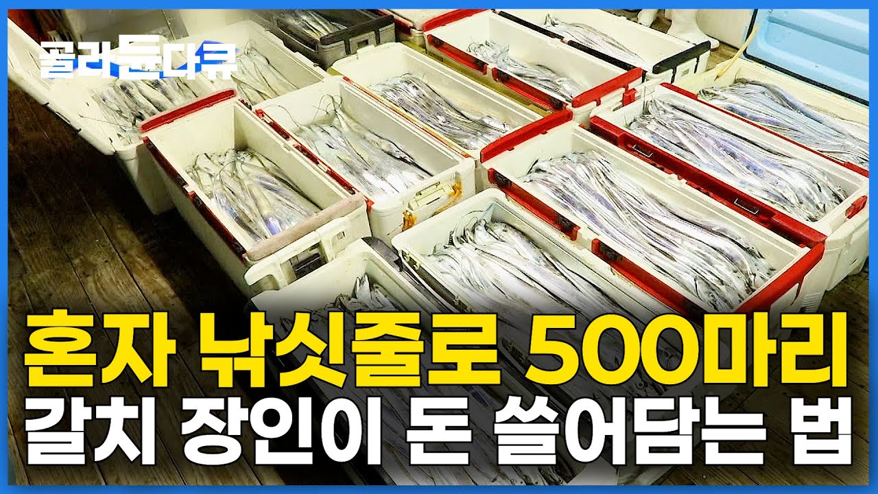 이건 경지에 올랐다. 혼자 갈치 쓸어 담고 횟집까지 차렸더니 대박나 버린 어부｜갈치 낚시 고수｜한국기행｜#골라듄다큐