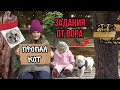 УКРАЛИ КОТА КЕВИНА В ДЕНЬ РОЖДЕНИЯ ЛЕРЫ! ВСЕ ПЛАЧУТ