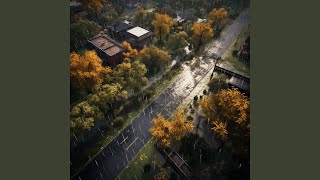 Gentle Echoes of Rain for Cats