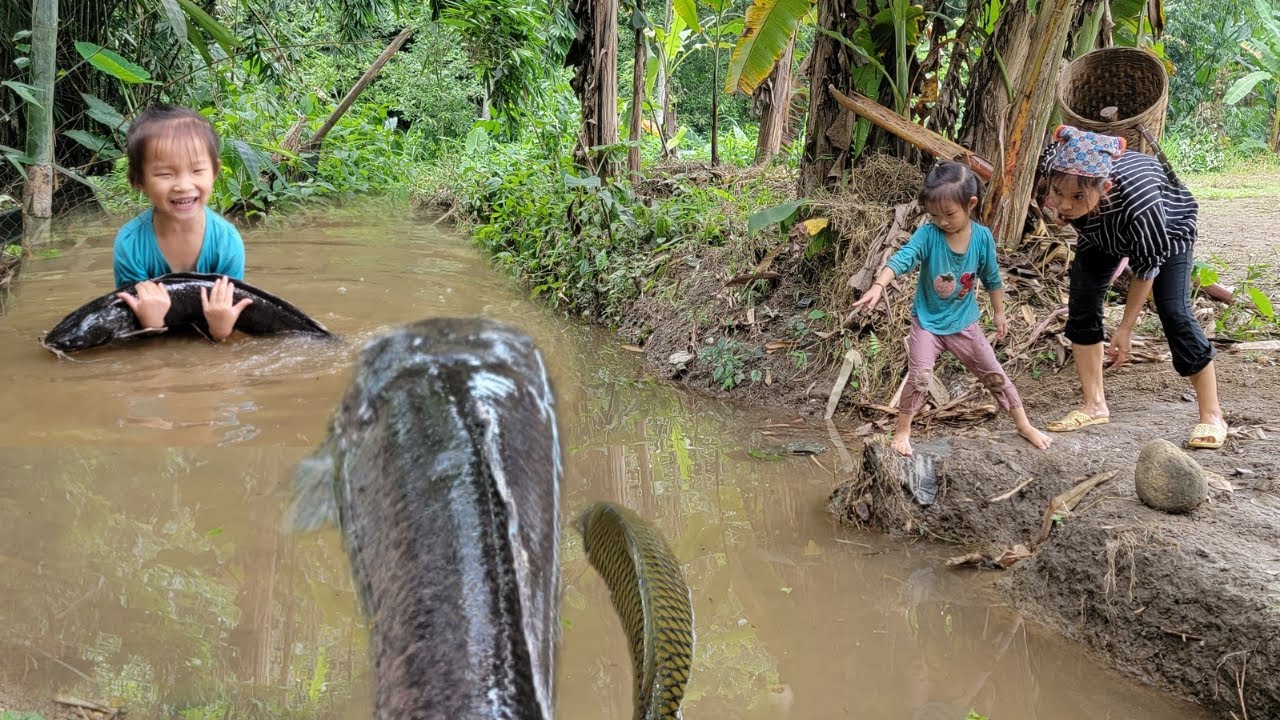 Repair the stairs. Meet the giant fish in the stream - YouTube