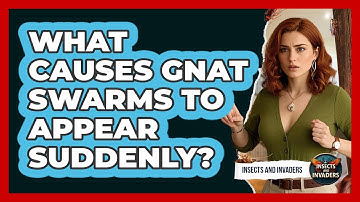 What Causes Gnat Swarms To Appear Suddenly? - Insects and Invaders