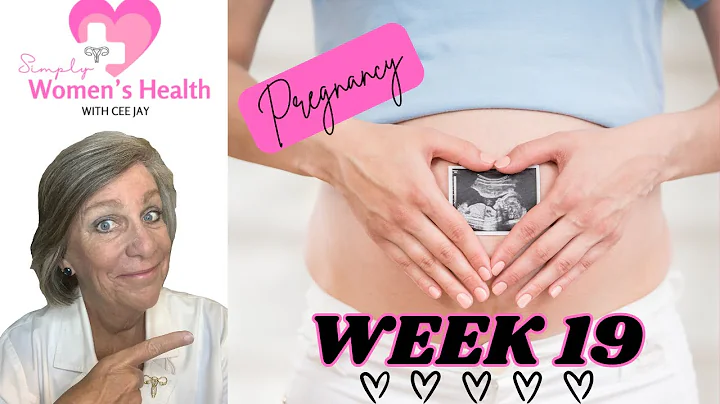 Pregnancy Week 19: Your Baby, Your Symptoms and What to Expect At Your Next Prenatal Visit