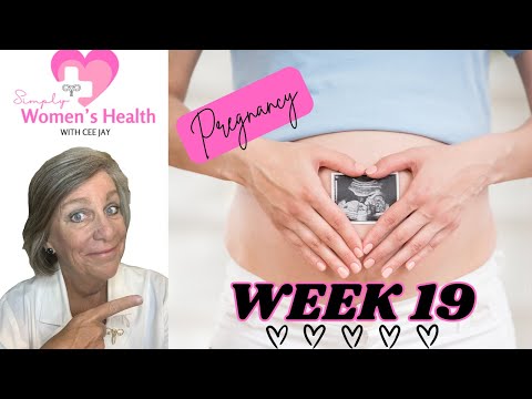 Pregnancy Week 19: Your Baby, Your Symptoms and What to Expect At Your Next Prenatal Visit