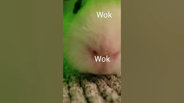 Watch the video about "Wok" #shorts