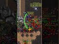 Oponent porobiony metodą na mur  #tibiashorts #tibia  #twitchclips #funnystreammoments #twitch