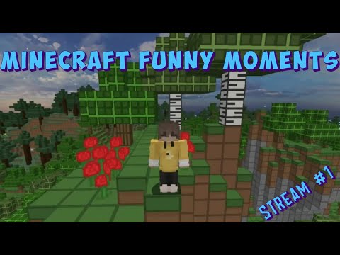 Minecraft Funny moments #1 - YouTube