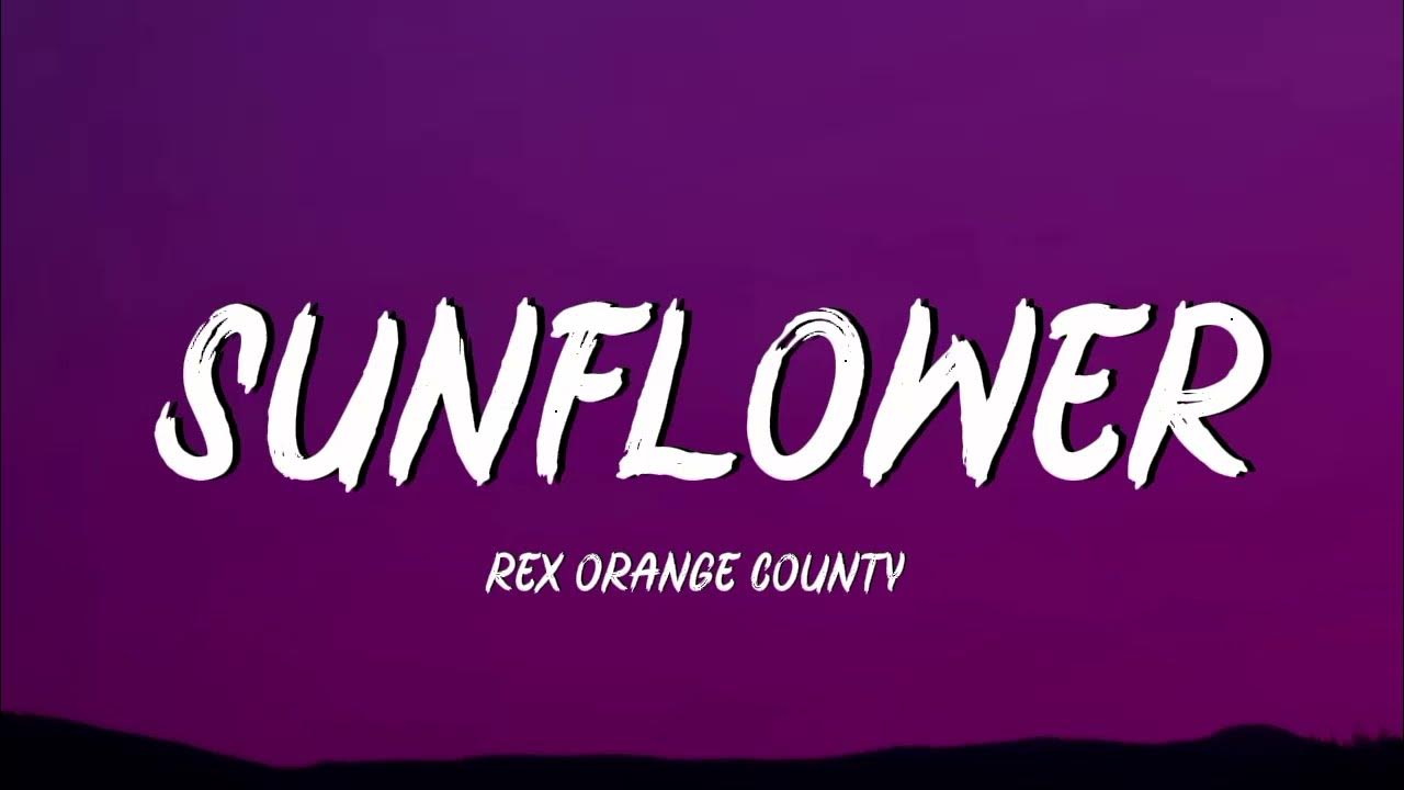 Sunflower - Rex Orange County (Lyrics) Sunflower - Rex Orange County (Lyrics)