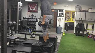 DB Pause Box Jump