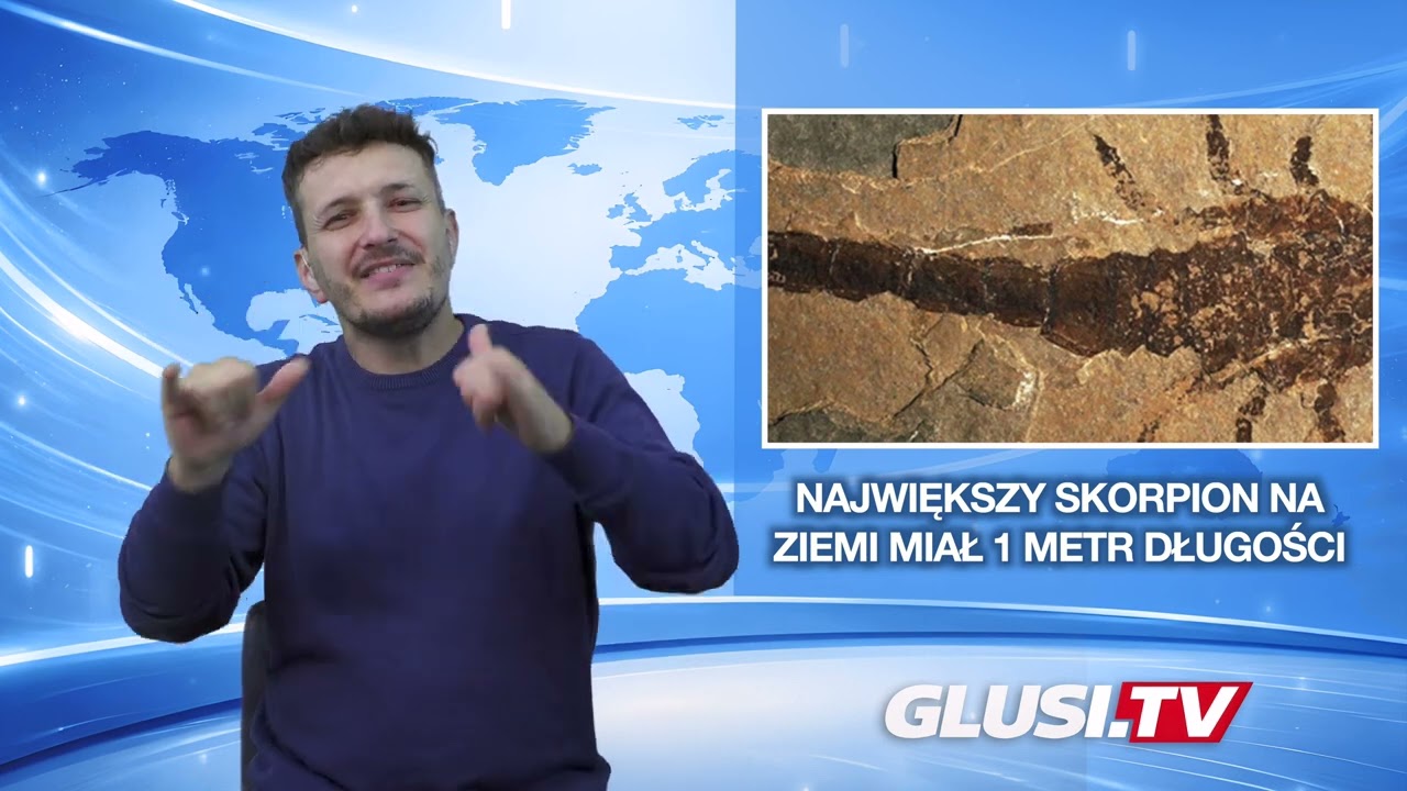 Największy skorpion na Ziemi miał 1 metr długości