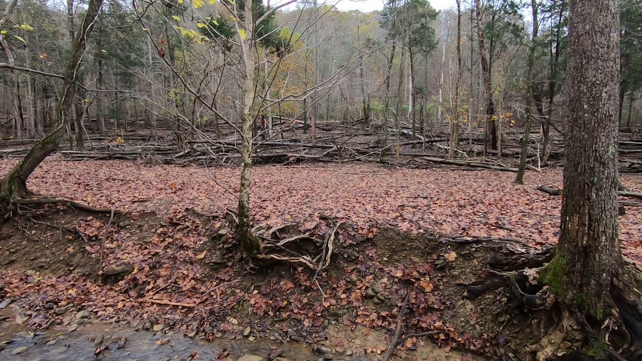 Shawnee Ridge, Hybrid Ibex, 10.30.2020