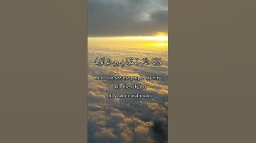 واتس أب قرآن كريم القارئ ماهر المعيقلي سورة (النصر)