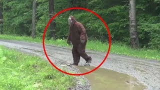 5 Bigfoots Caught On Tape ♦️ Mythical Creature