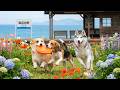 12 Hours of Dog Music 🐾 Dog Calming Music 💤 Gentle Sounds for Home Alone Dogs and Peaceful Rest