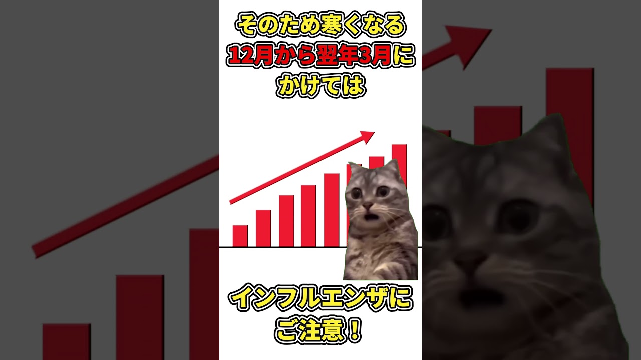 インフルエンザにご注意!! #医療#猫ミーム #shorts