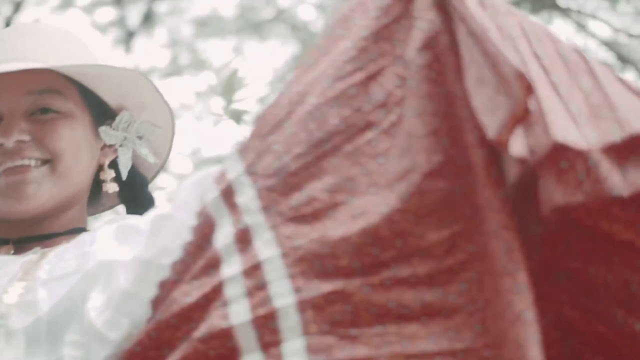 Himno del Instituto Fermín Naudeau