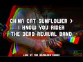 China cat sunflower i know you rider  the dead revival band dead covers project 2022