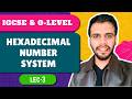 Hexadecimal Number System in Hindi (Lec-3) | IGCSE Computer Science Chapter 1 | Awinash Goswami