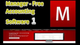 Manager - Free Accounting Software screenshot 5