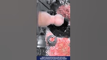 Wood Lathe Machine Shaping Cylindrical Objects #machineinnovation #machinery #woodlathe