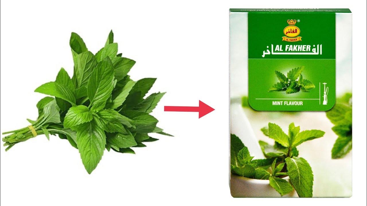 How to make Hookah Flavour at Home With Mint (Easy Method) YouTube