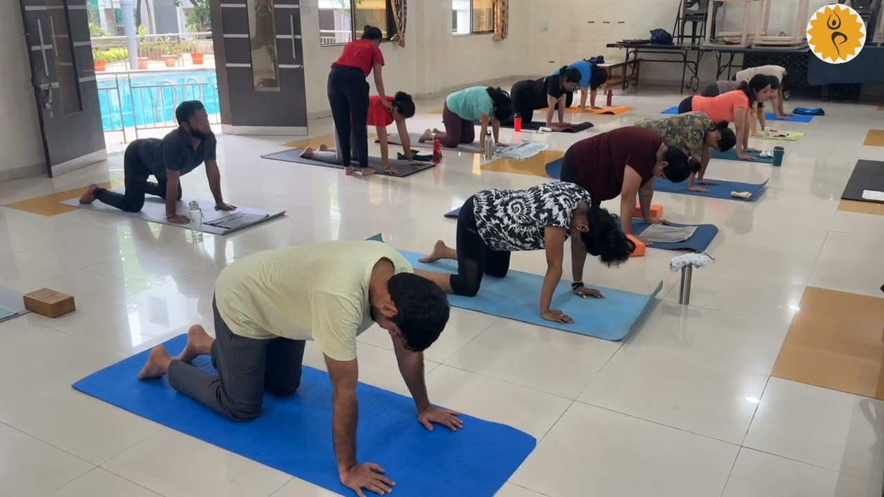 Guided yoga for the correct path || Healthy Journey || Right Practice || Learn Yoga || Yoga daily ||