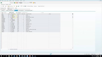 009 How to create Authorization Class Object and Field in SAP?
