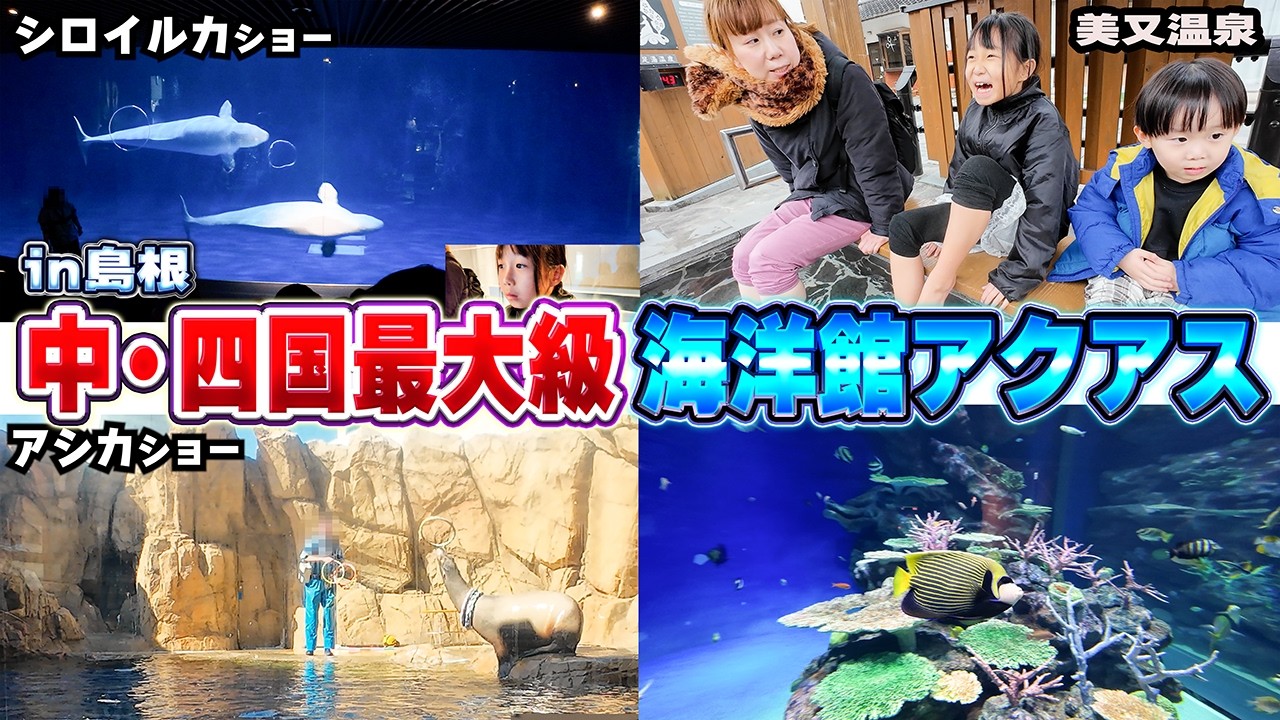 【島根県】中・四国最大級の水族館!!海洋館アクアスで珍しいシロイルカを見てきたぞ♪アクアスランドでアスレチックでめっちゃ長い滑り台!!美又温泉で初めての足湯も満喫♨
