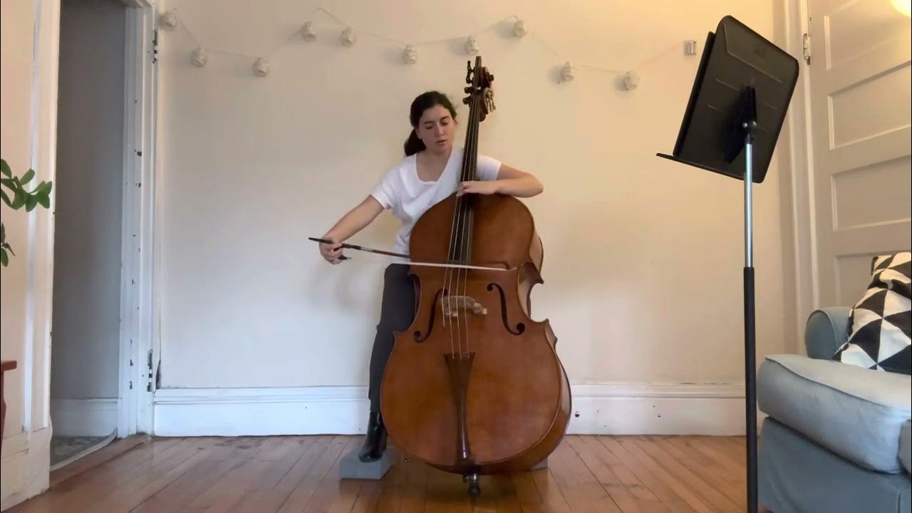 Double Bass Audition YouTube