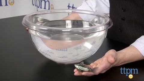 Hexbug Zombie Aquabot from Innovation First