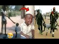 100 Best Funniest Videos of 2025 – Try Not to Laugh (06)