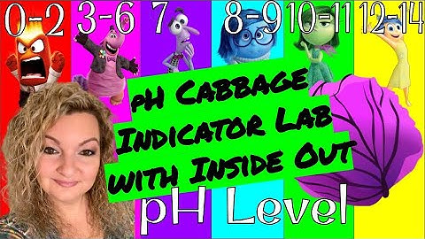 Cabbage Juice pH Indicator with Inside Out | Acids & Bases | Household Substances | Red Cabbage pH