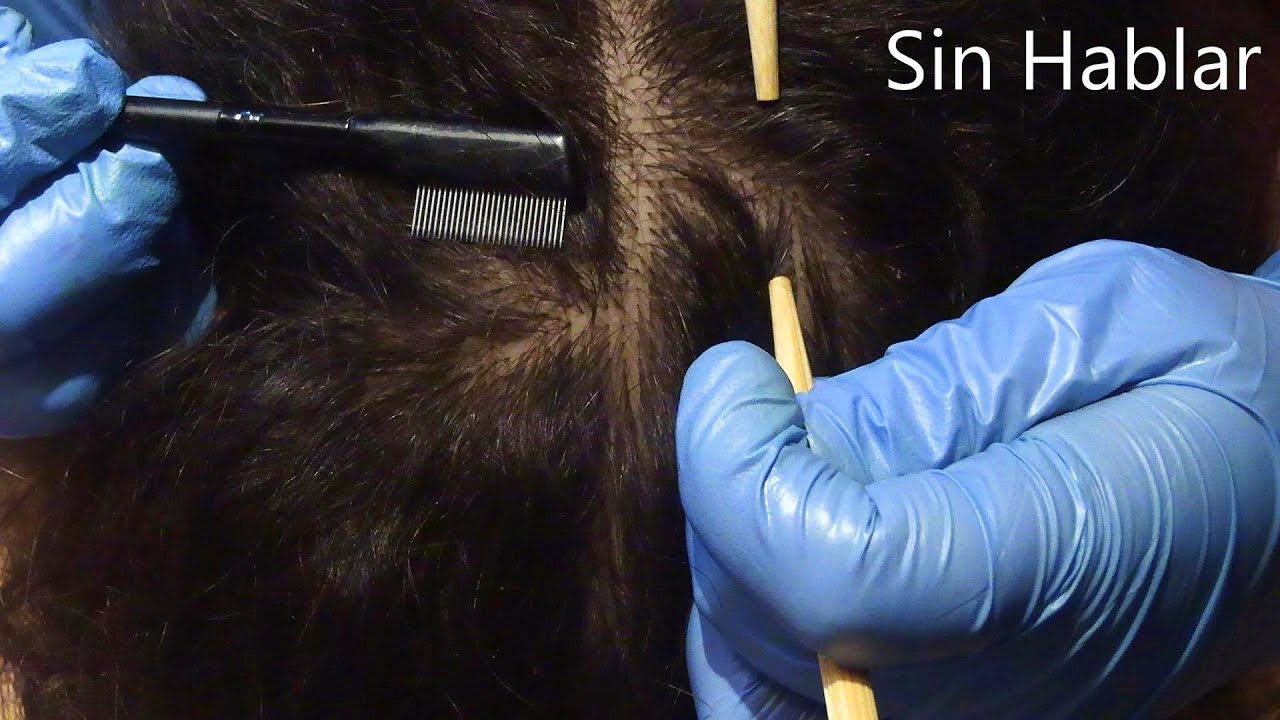 ASMR School Nurse Lice Check (NO TALKING) | Inspeccion de Piojos (SIN HABLAR) | Medical Roleplay